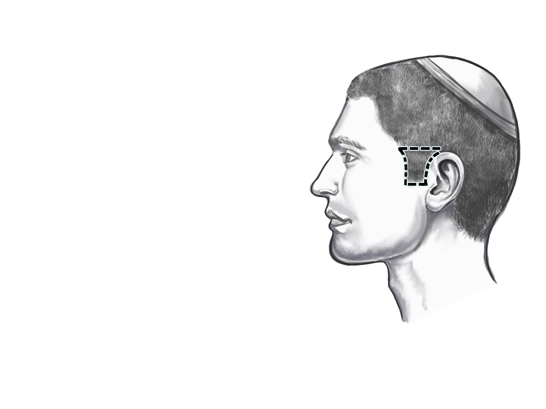 הגבול העליון של הפאה