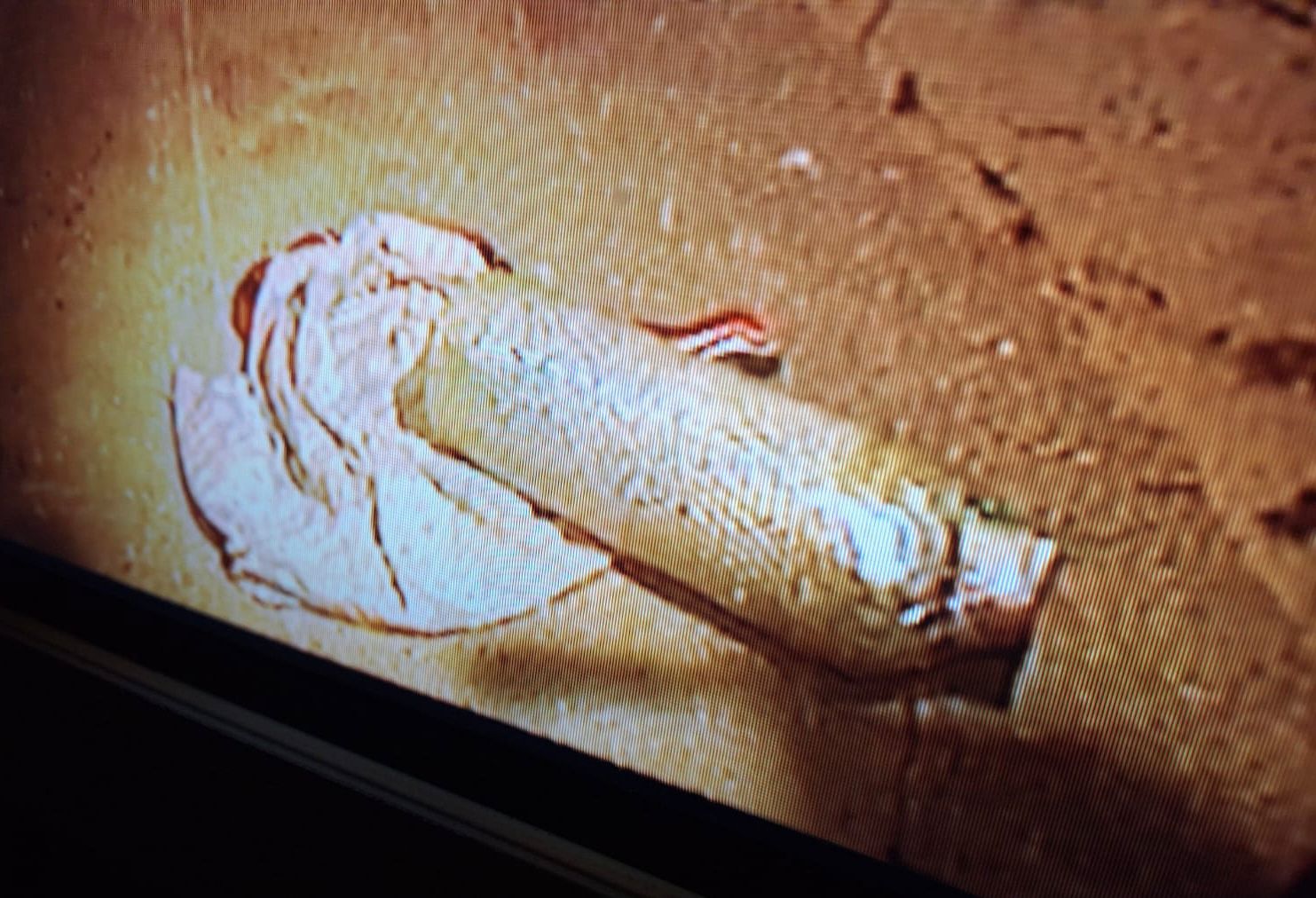 המטען שאותר