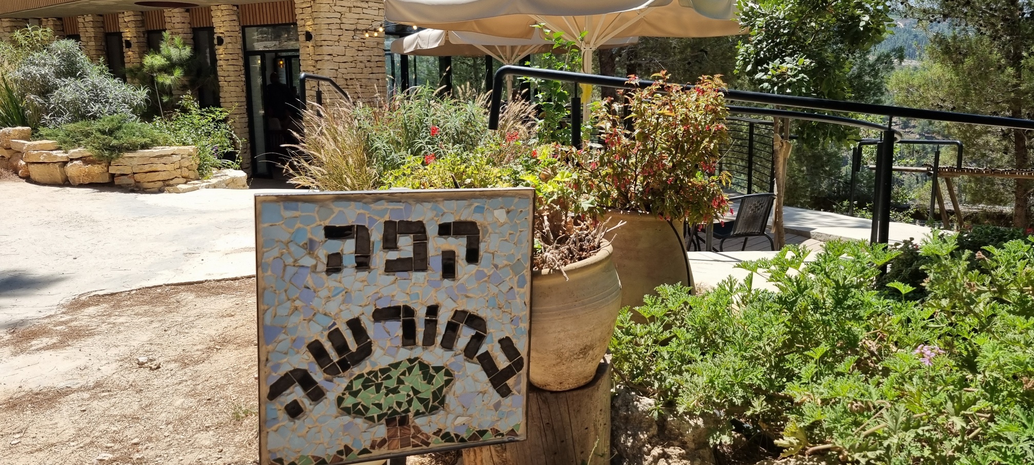 קפה בחורשה בגבעות