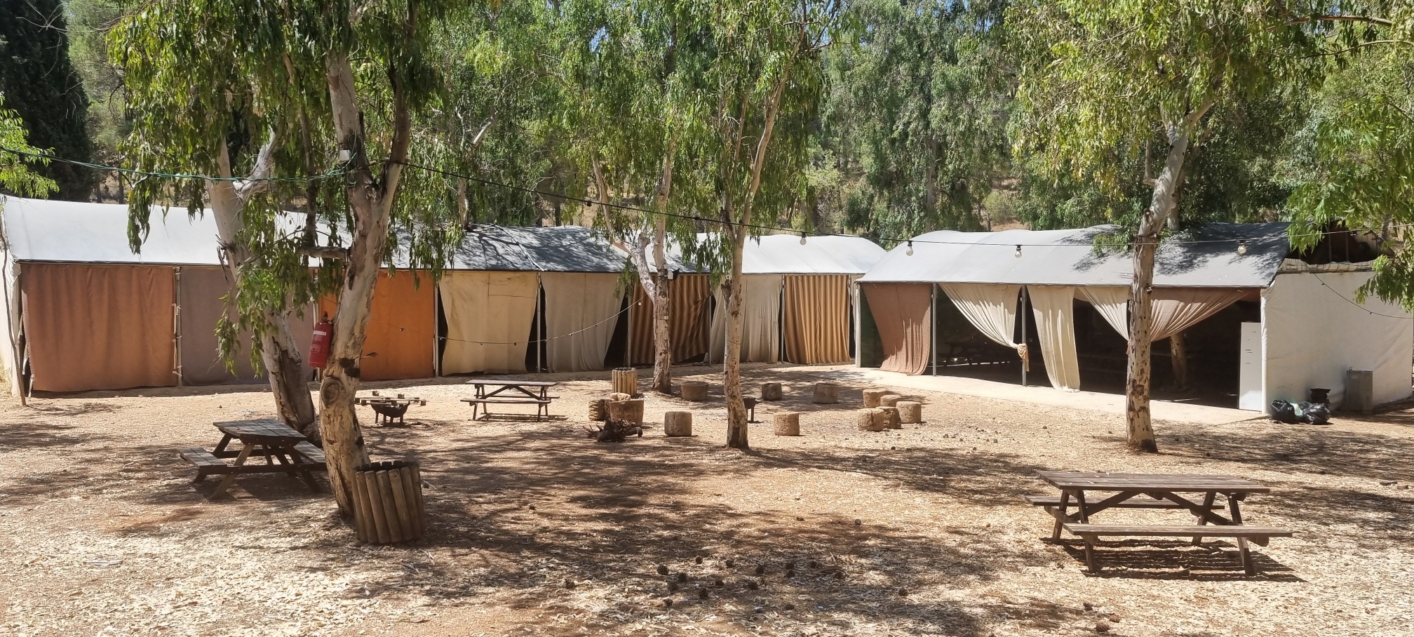 לינה בקשואלה