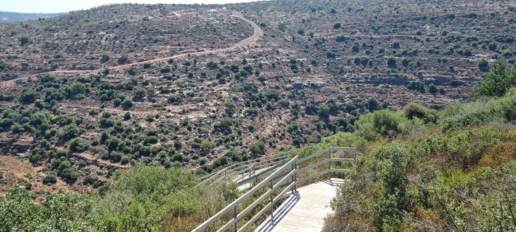 עוד תטעי כרמים נחל קנה