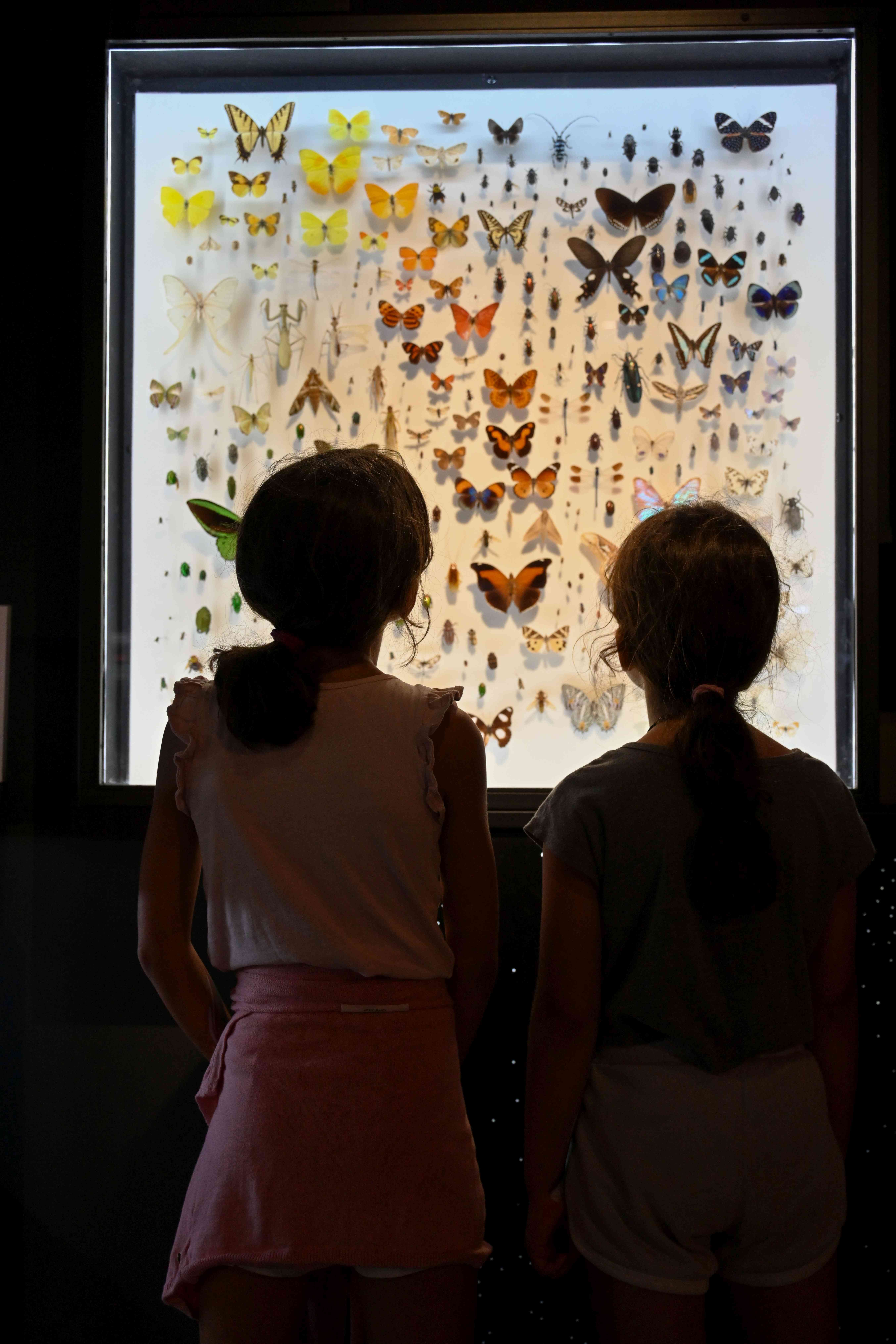 מוזיאון הטבע