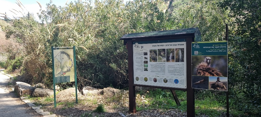 שמורת נחל עיון