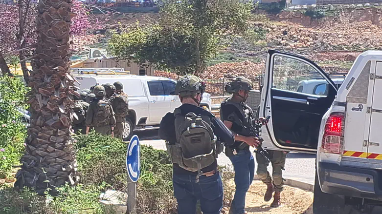 הסריקות בקריית נטפים