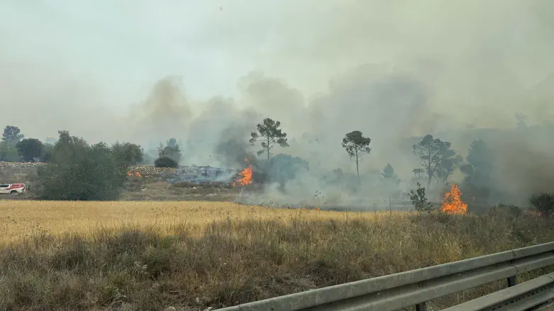 השריפה בבית שמש